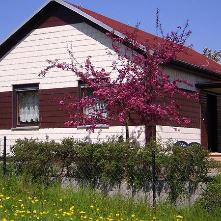 Waldblick Villa Waltershausen Kültér fotó